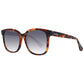 Max Mara Brown Acetate Sunglasses