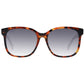 Max Mara Brown Acetate Sunglasses