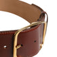 Dolce & Gabbana Brown Leather Waist Gold Metal Buckle Belt