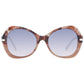 Omega Brown Women Sunglasses