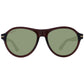Serengeti Brown Acetate Sunglasses