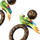 Dolce & Gabbana Multicolor Parrot Wood Brass Crystal Embellished Earrings Womens Earrings