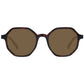 Ted Baker Brown Men Sunglasses