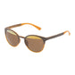 Police Brown Injected Sunglasses