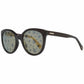 Police Brown Acetate Sunglasses