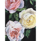 Dolce & Gabbana Rose and peony pattern Skirt