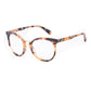 Vuarnet Brown Acetate Frames