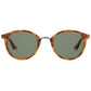 Polaroid Brown Plastic Sunglasses