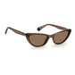 Polaroid Brown Plastic Sunglasses