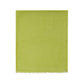 Tessitura di Novara Green Cashmere Scarf
