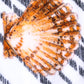 Dolce & Gabbana Multicolor Stripes Seashells Beach Towel