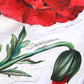 Dolce & Gabbana White Floral Print Cotton Crew Neck T-shirt