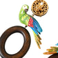 Dolce & Gabbana Multicolor Parrot Wood Brass Crystal Embellished Earrings