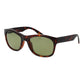 Serengeti Brown Plastic Sunglasses