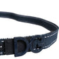Dolce & Gabbana Blue White Cotton DG Logo Metal Buckle Belt