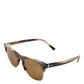 Dolce & Gabbana Brown Striped Acetate Square DG4305 Eyewear Sunglasses