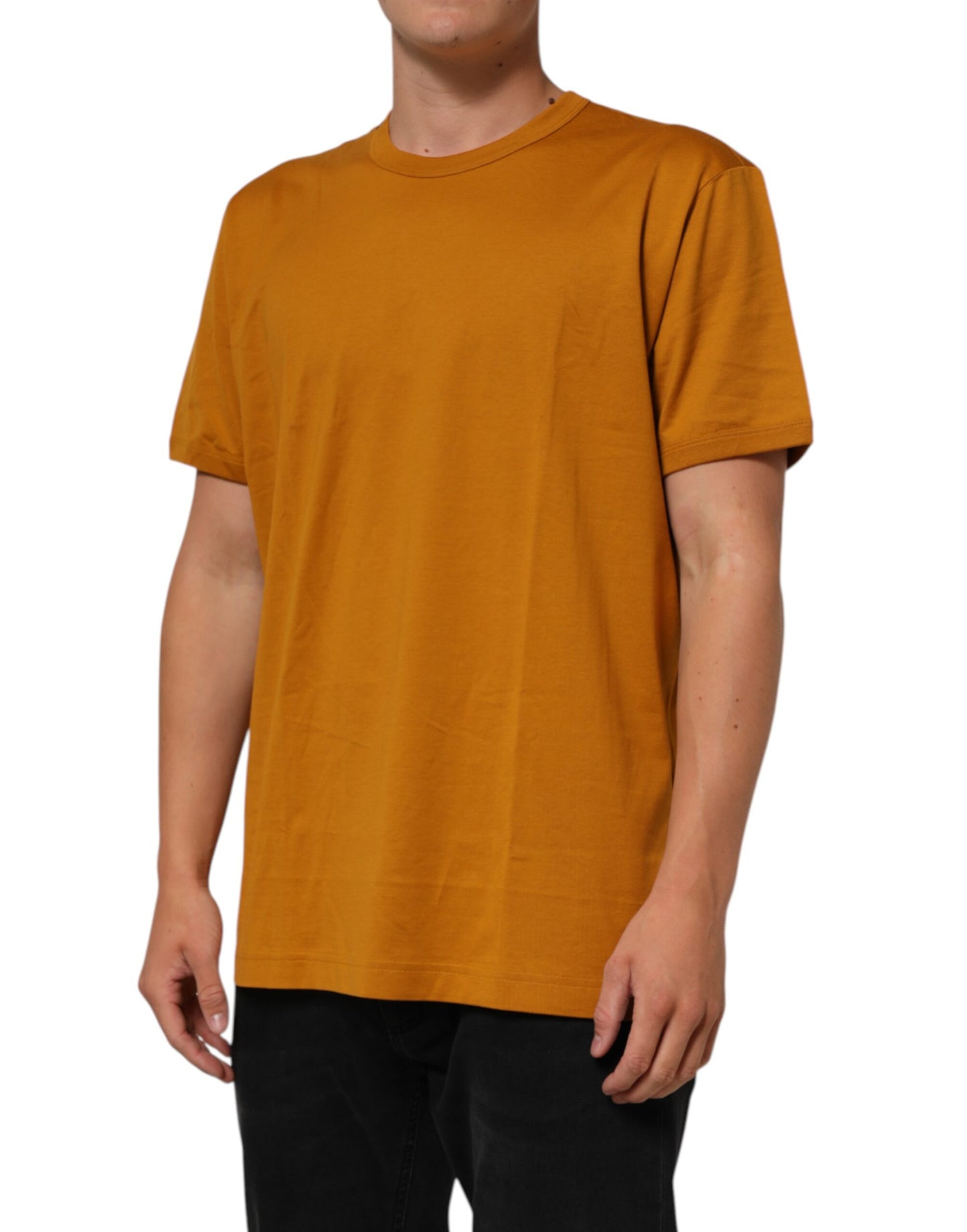 Dolce & Gabbana Golden Brown Crew Neck Short Sleeve T-shirt Mens T-Shirt