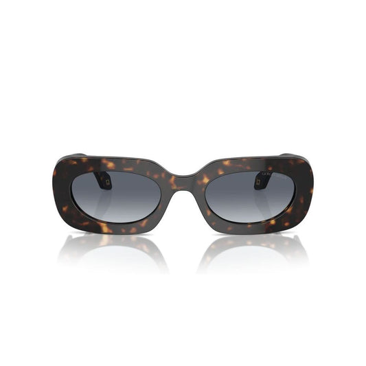 Armani Brown Acetate Sunglasses