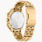 Citizen Gold Stainless Steel Sport Watch