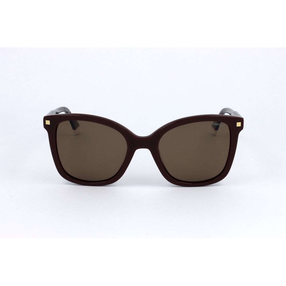 Polaroid Multicolor Acetate Sunglasses