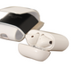 Dolce & Gabbana Chic Leather Airpods Case in Monochrome