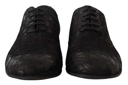 Dolce & Gabbana Elegant Exotic Leather Oxford Shoes