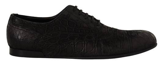 Dolce & Gabbana Elegant Exotic Leather Oxford Shoes