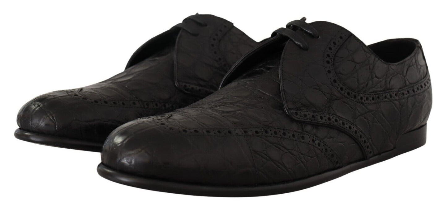 Dolce & Gabbana Exquisite Exotic Leather Derby Shoes